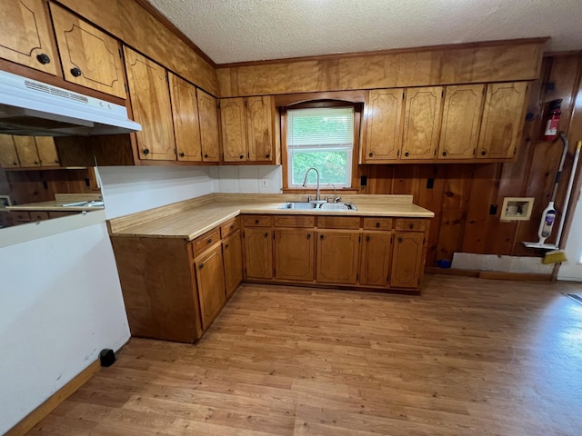 kitchen featuring light wood-style flooring, a sink, brown cabinetry, a textured ceiling, and under cabinet range hood