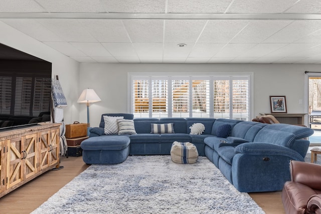 living room featuring a wealth of natural light, a drop ceiling, and light hardwood / wood-style flooring