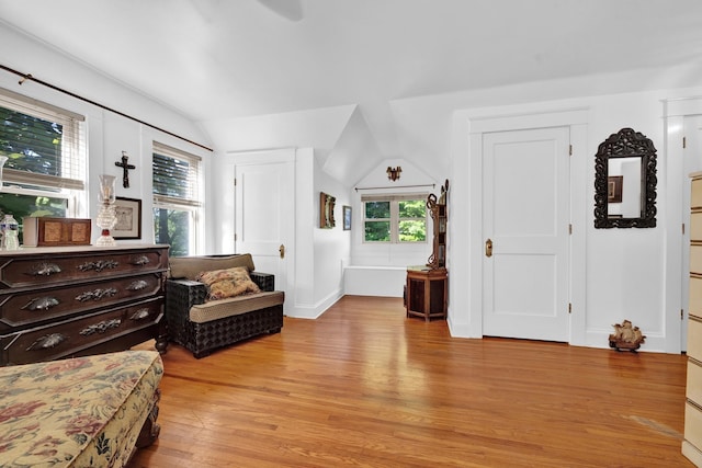 bedroom with lofted ceiling and light wood-type flooring