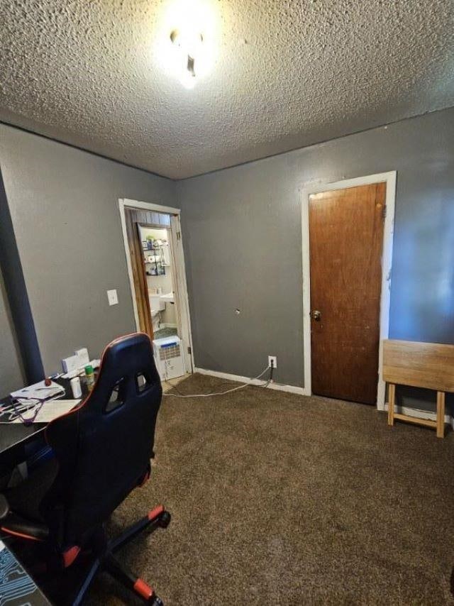  - home office featuring carpet floors and a textured ceiling