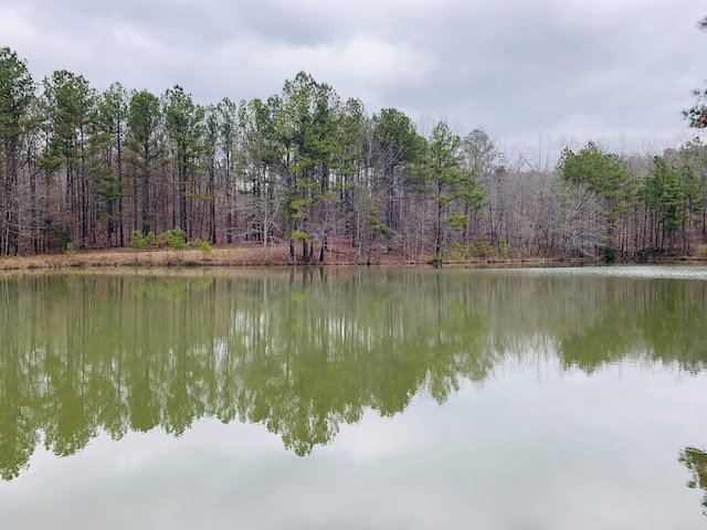 view of water feature