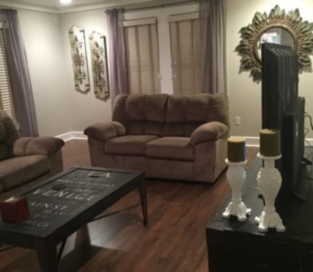 living room featuring dark hardwood / wood-style floors