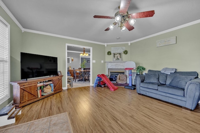  - living area featuring ornamental molding, wood finished floors, a ceiling fan, a glass covered fireplace, and plenty of natural light
