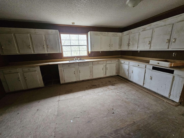 kitchen featuring sink and a textured ceiling