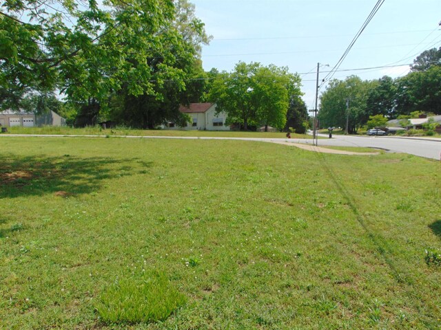  - photo 3