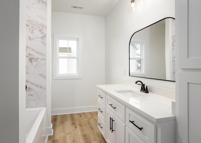 bathroom featuring wood-type flooring and vanity