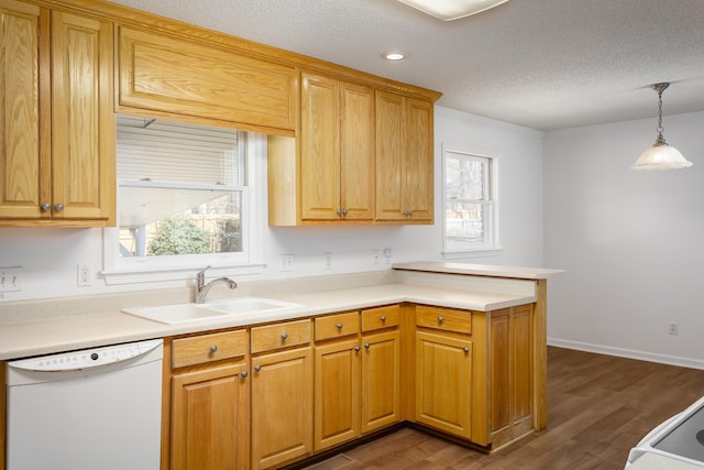 kitchen with a healthy amount of sunlight, white dishwasher, a peninsula, and a sink