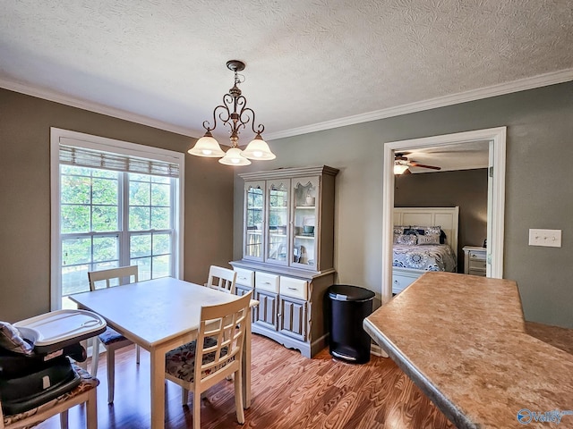 dining area featuring ceiling fan with notable chandelier, a textured ceiling, hardwood / wood-style flooring, and crown molding