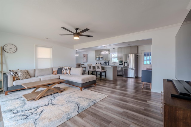 living room featuring sink, crown molding, dark hardwood / wood-style floors, and ceiling fan