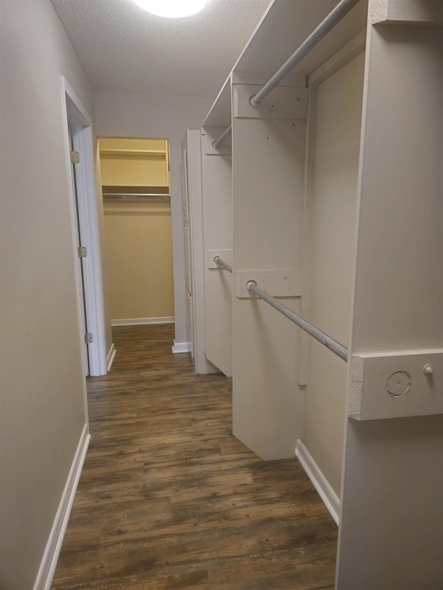  - spacious closet with dark wood-type flooring