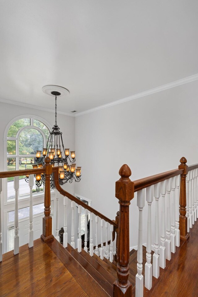 staircase featuring hardwood / wood-style floors, ornamental molding, and an inviting chandelier