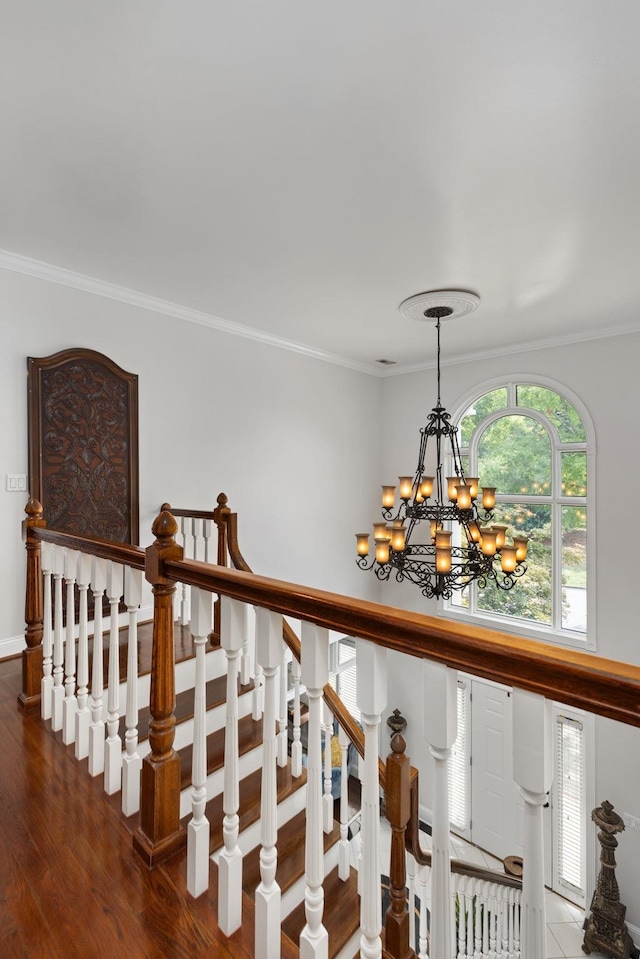 hall with hardwood / wood-style flooring, crown molding, and a notable chandelier