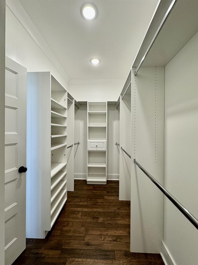 walk in closet with dark hardwood / wood-style floors