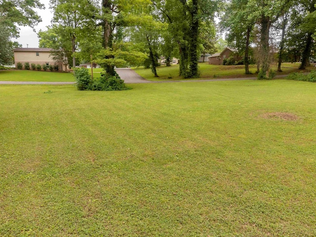 00 19th St, Sheffield AL, 35660 land for sale