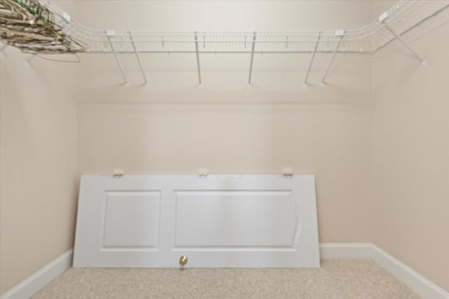 walk in closet featuring carpet flooring