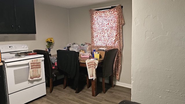 dining room featuring wood-type flooring