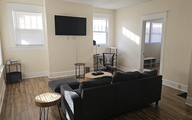 living room featuring hardwood / wood-style floors