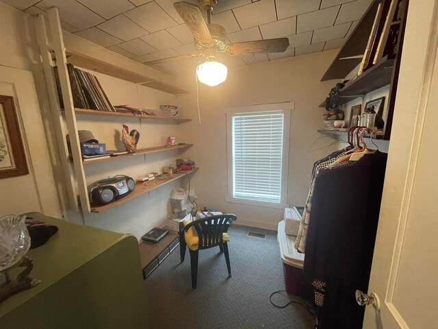  - photo 16