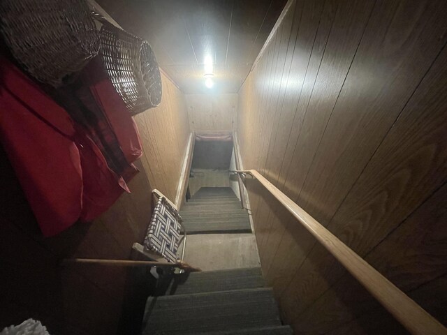  - photo 9