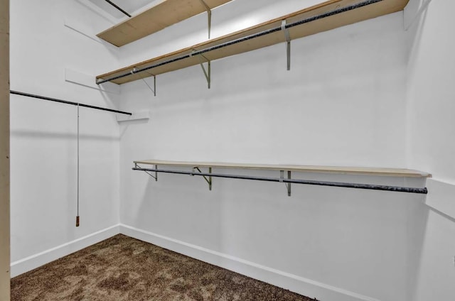 walk in closet featuring carpet