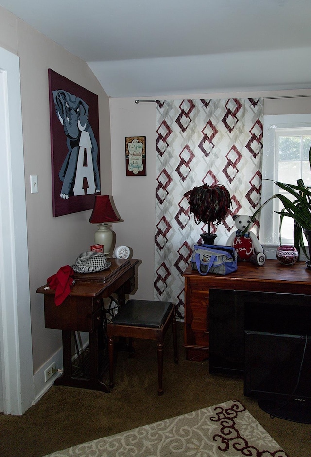  - photo 23