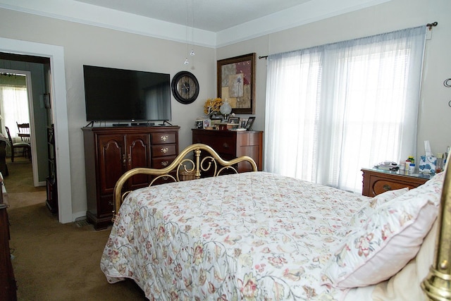  - photo 43