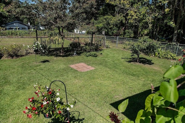  - photo 26