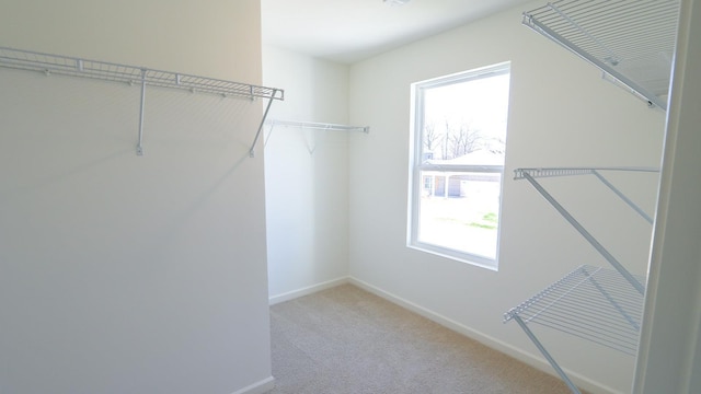  - photo 25