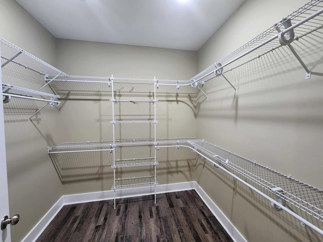 spacious closet featuring wood-type flooring