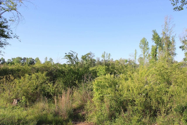 0 Welti Rd, Cullman AL land for sale