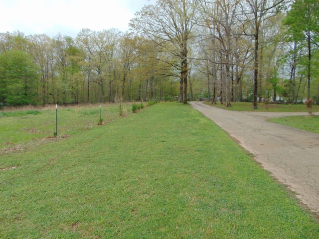  - photo 36