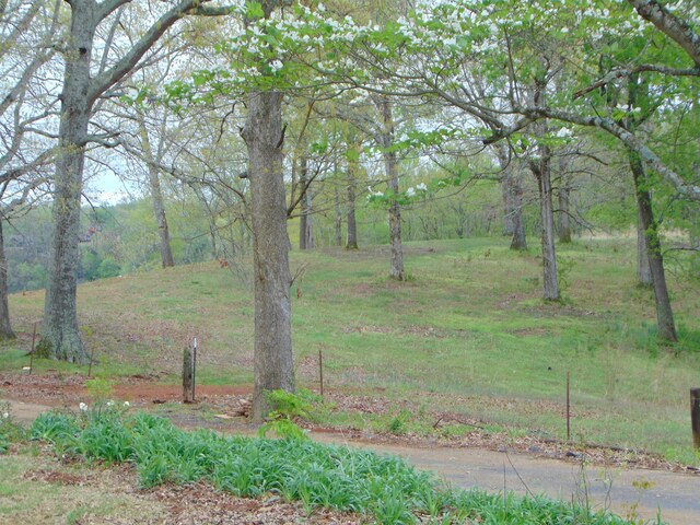  - photo 13