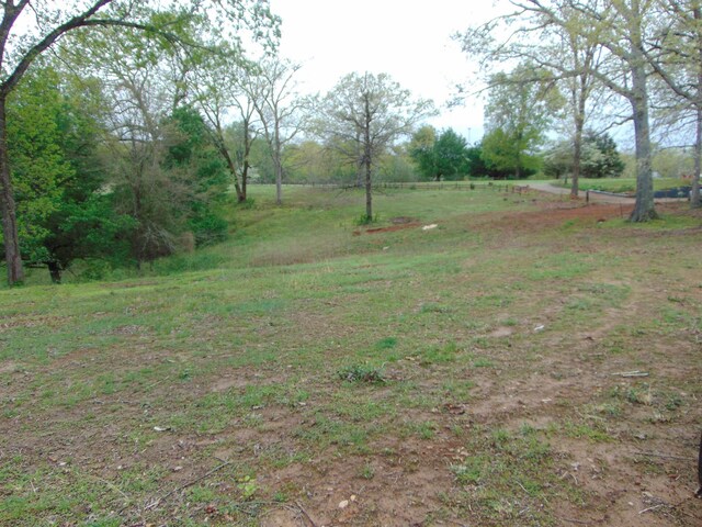  - photo 25