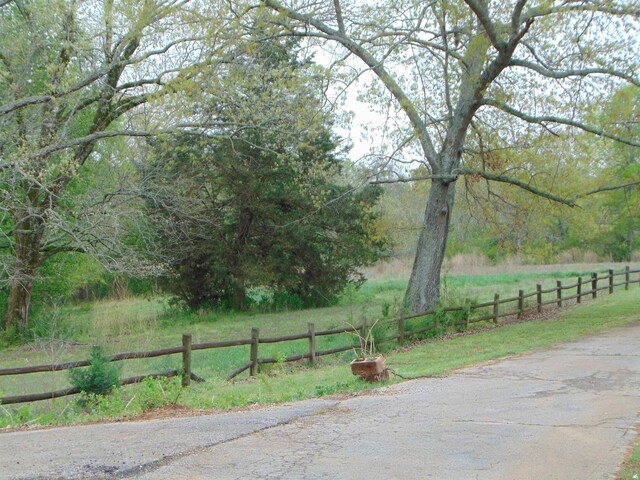  - photo 11