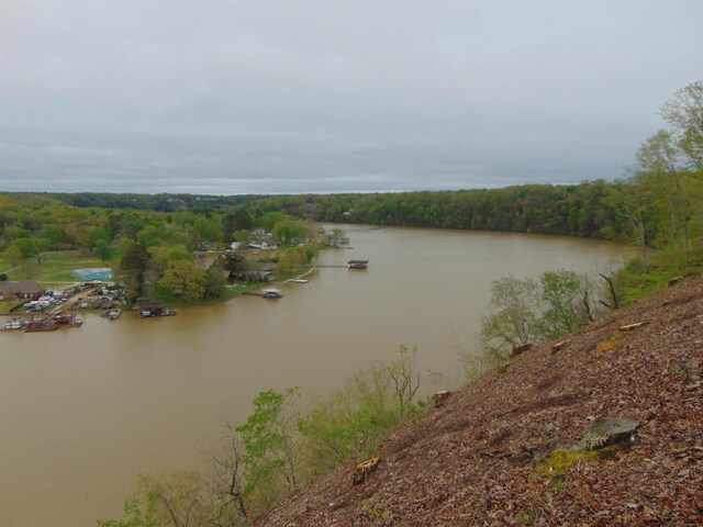  - photo 29