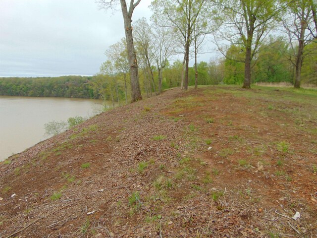  - photo 20