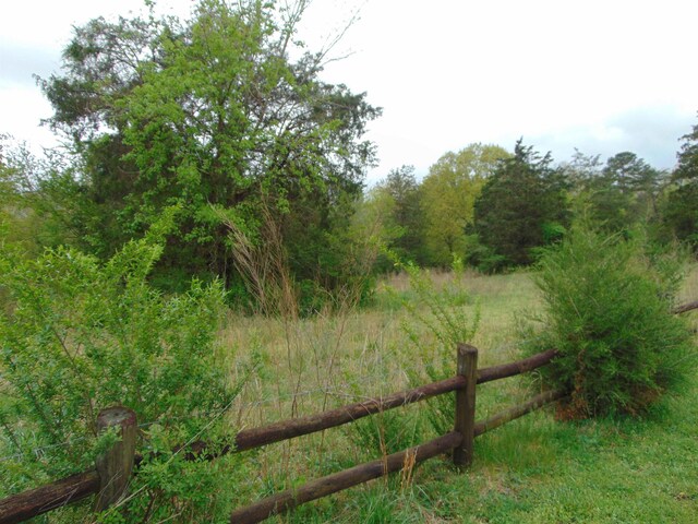  - photo 33
