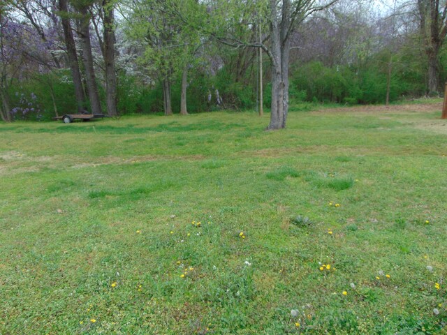  - photo 4