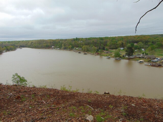  - photo 17