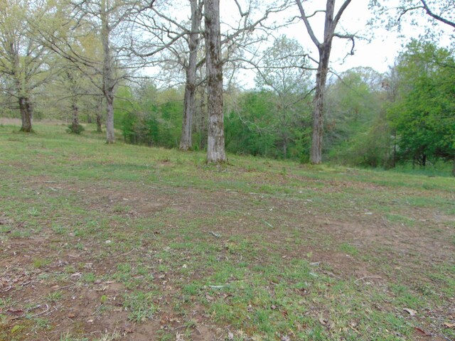  - photo 23
