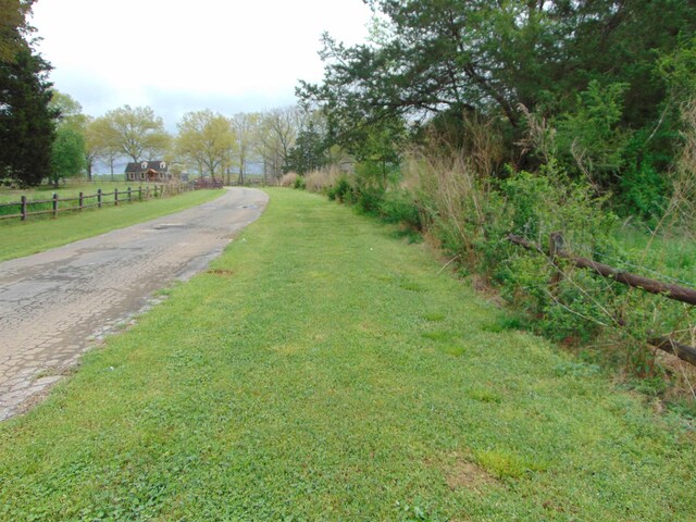  - photo 31