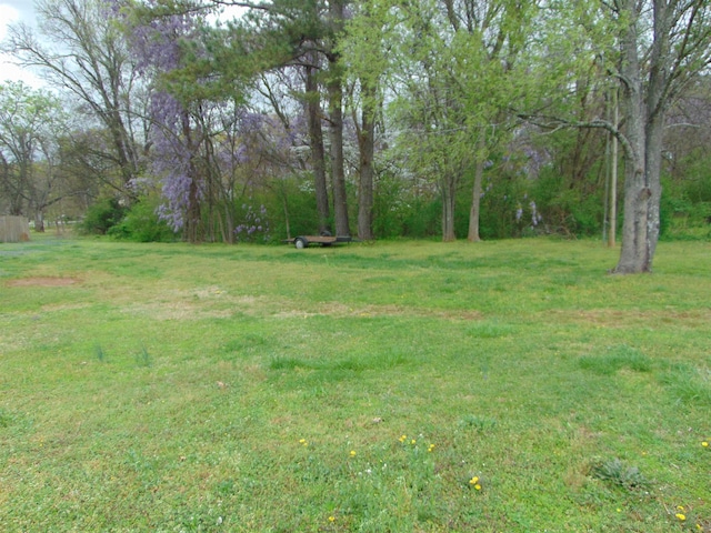  - photo 1