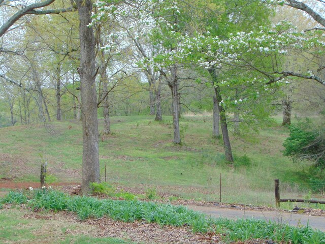  - photo 12