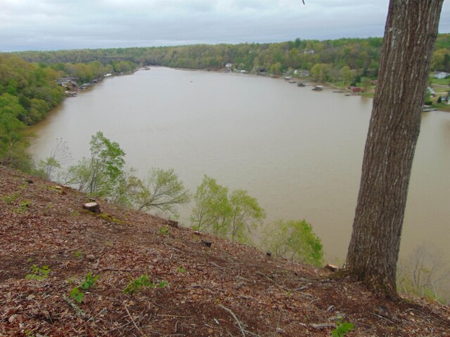  - photo 26
