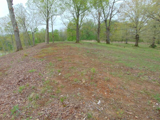  - photo 21