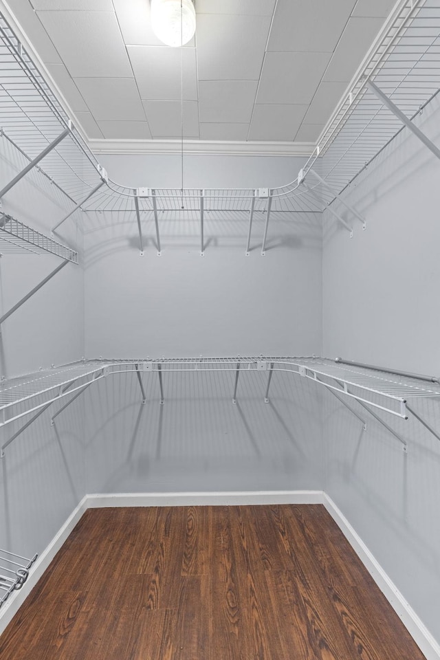 walk in closet with wood finished floors