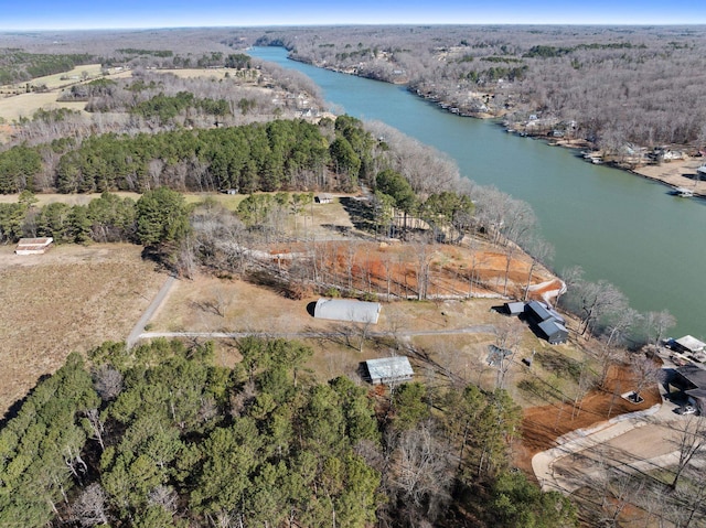 aerial view with a water view and a view of trees