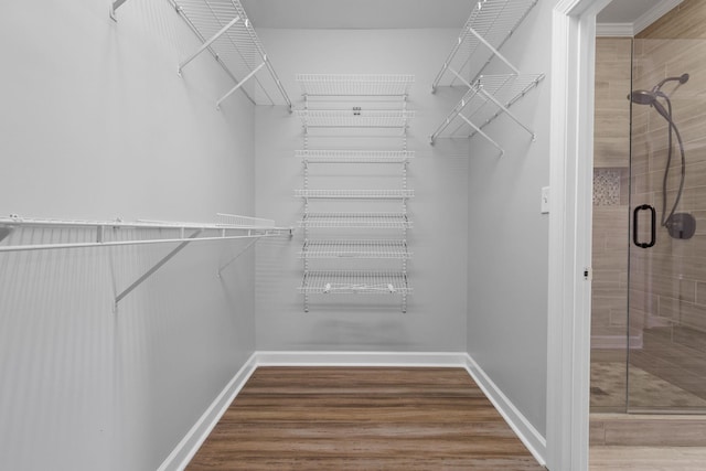 spacious closet featuring wood-type flooring