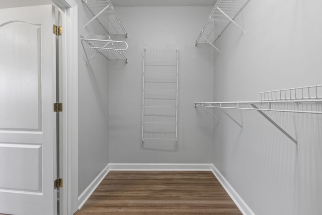 spacious closet featuring hardwood / wood-style flooring