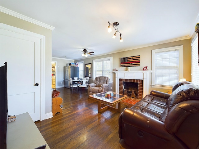 living room featuring a fireplace, crown molding, ceiling fan, and dark wood-type flooring